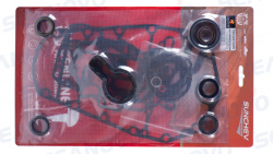 Ремкомплект редуктора F40H, F50F, F50H, F60F 6C5-W0001-22 Тайвань